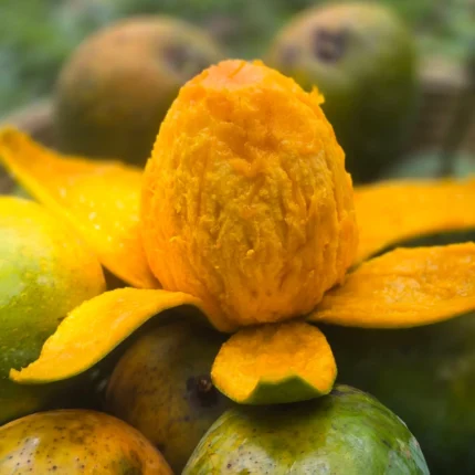 রাজশাহীর হিমসাগর আম (অরিজিনাল) (১০ কেজি)